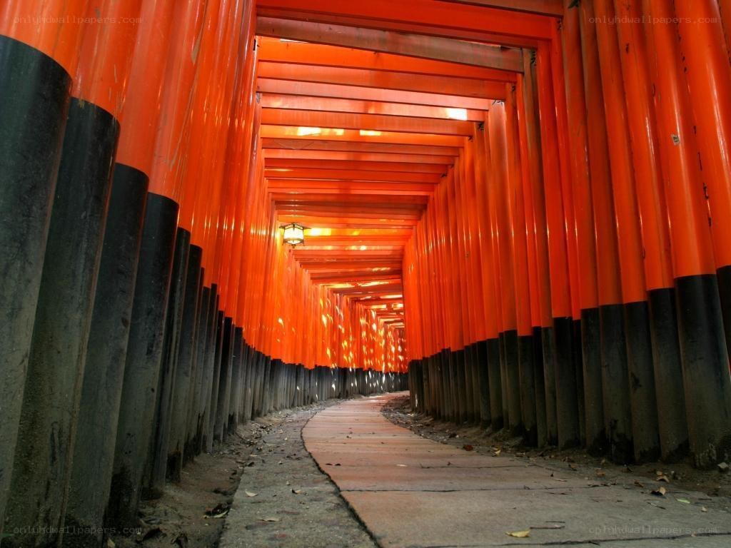 red torii gates tunnel