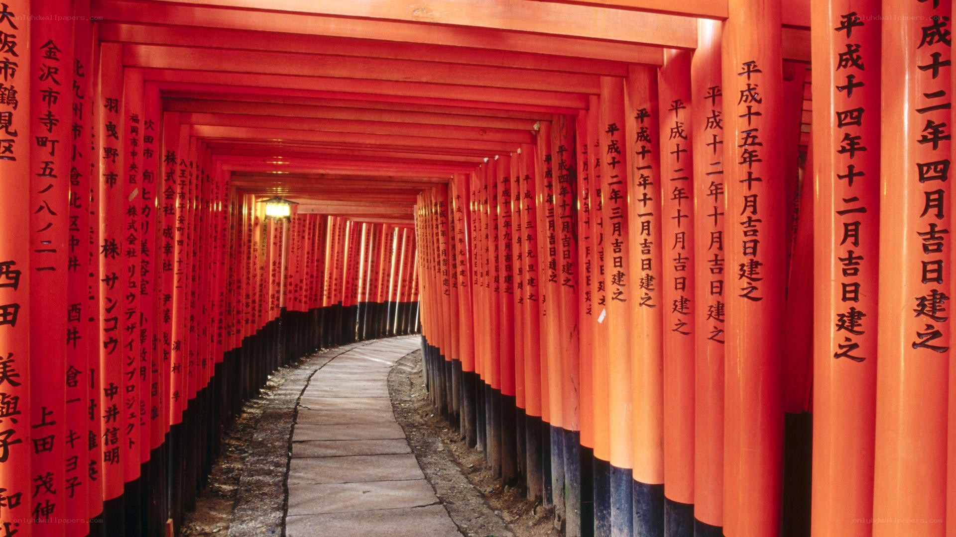 Red torii gates tunnel