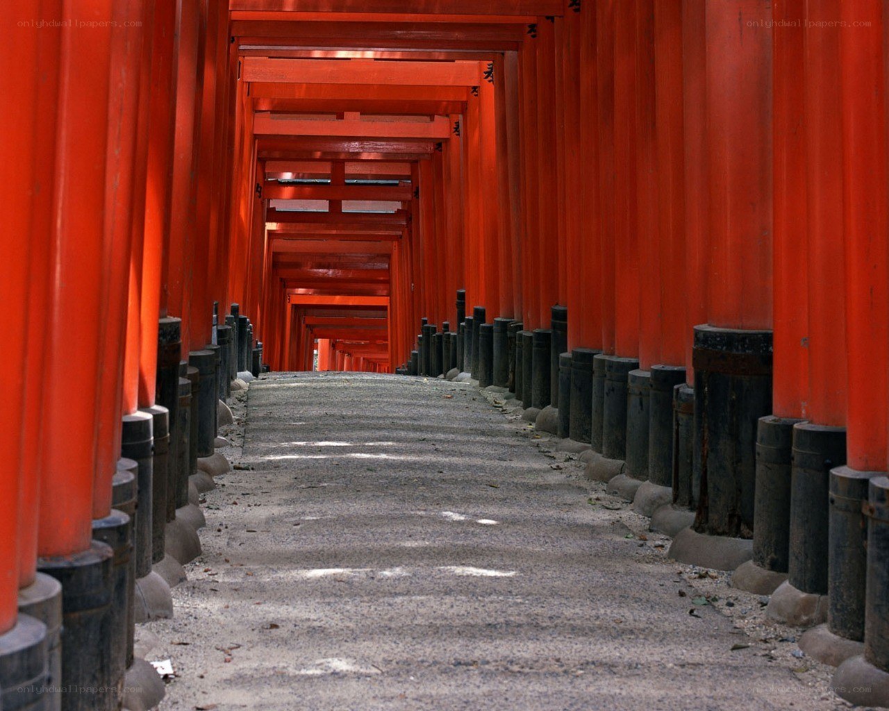 Red torii gates tunnel