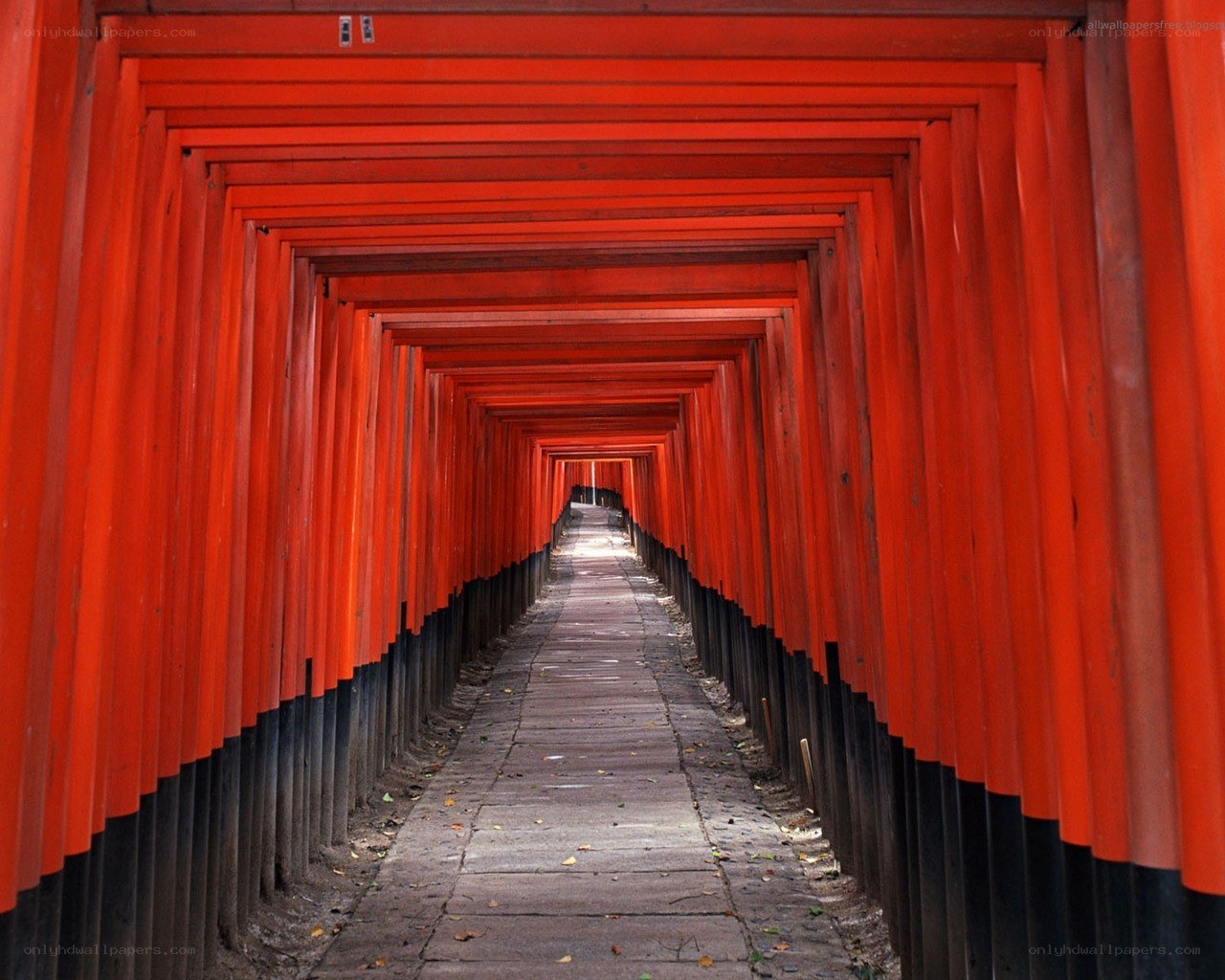 red torii gates tunnel