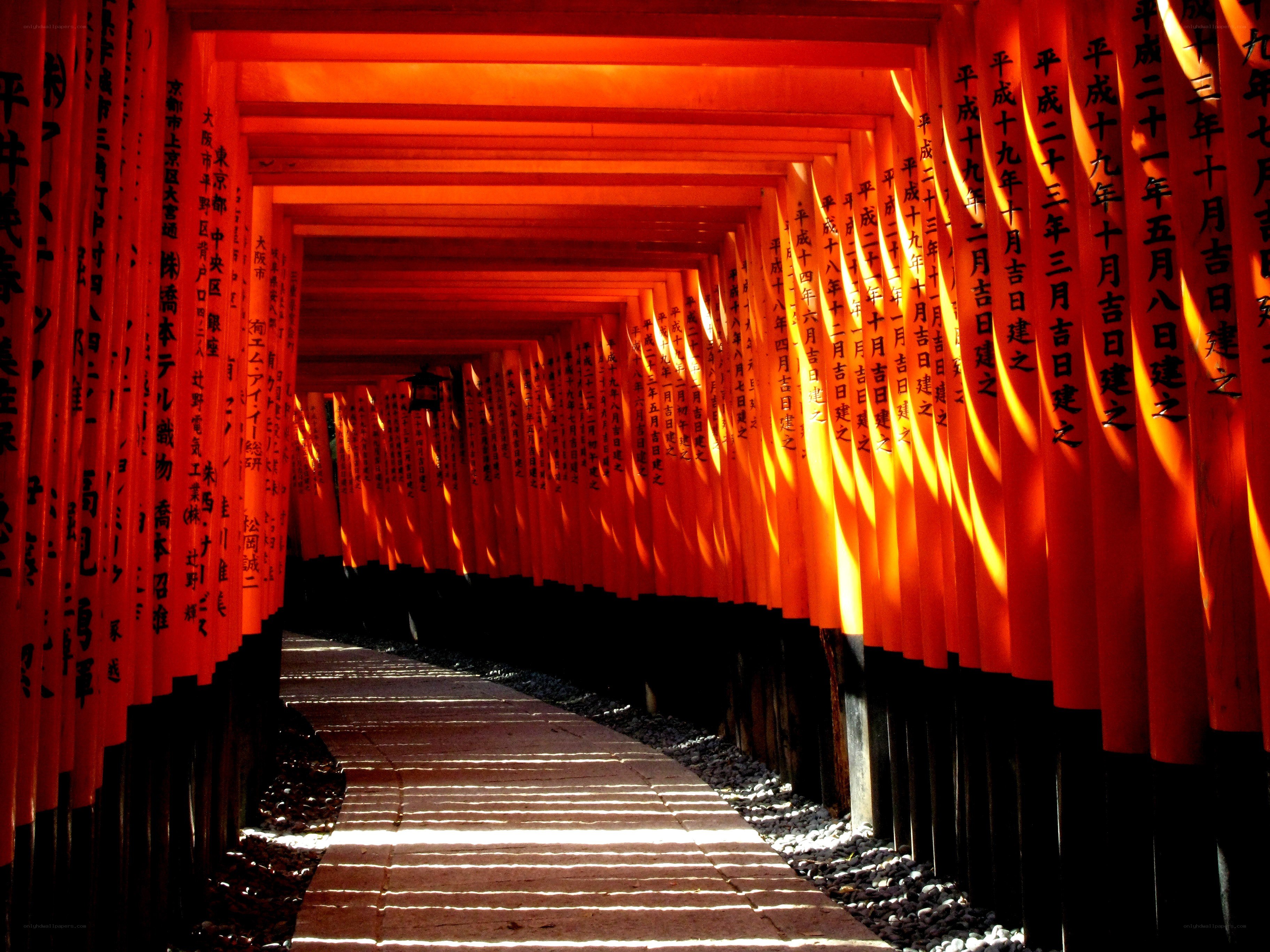 Red torii gates tunnel