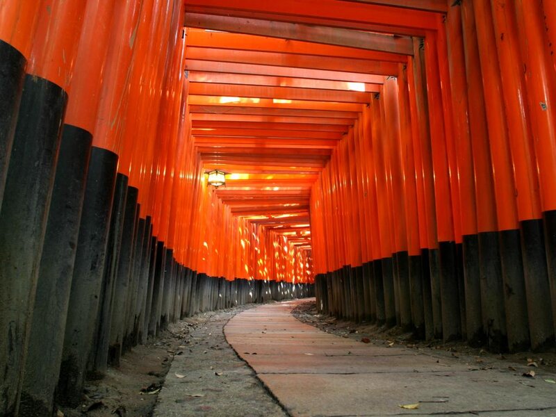 Red Torii Gates Tunnel — Orange