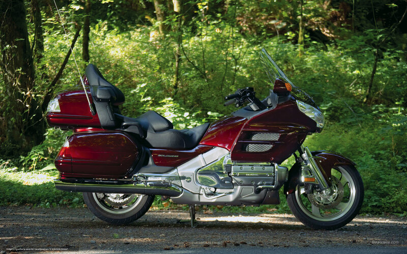 Red touring motorcycle in forest