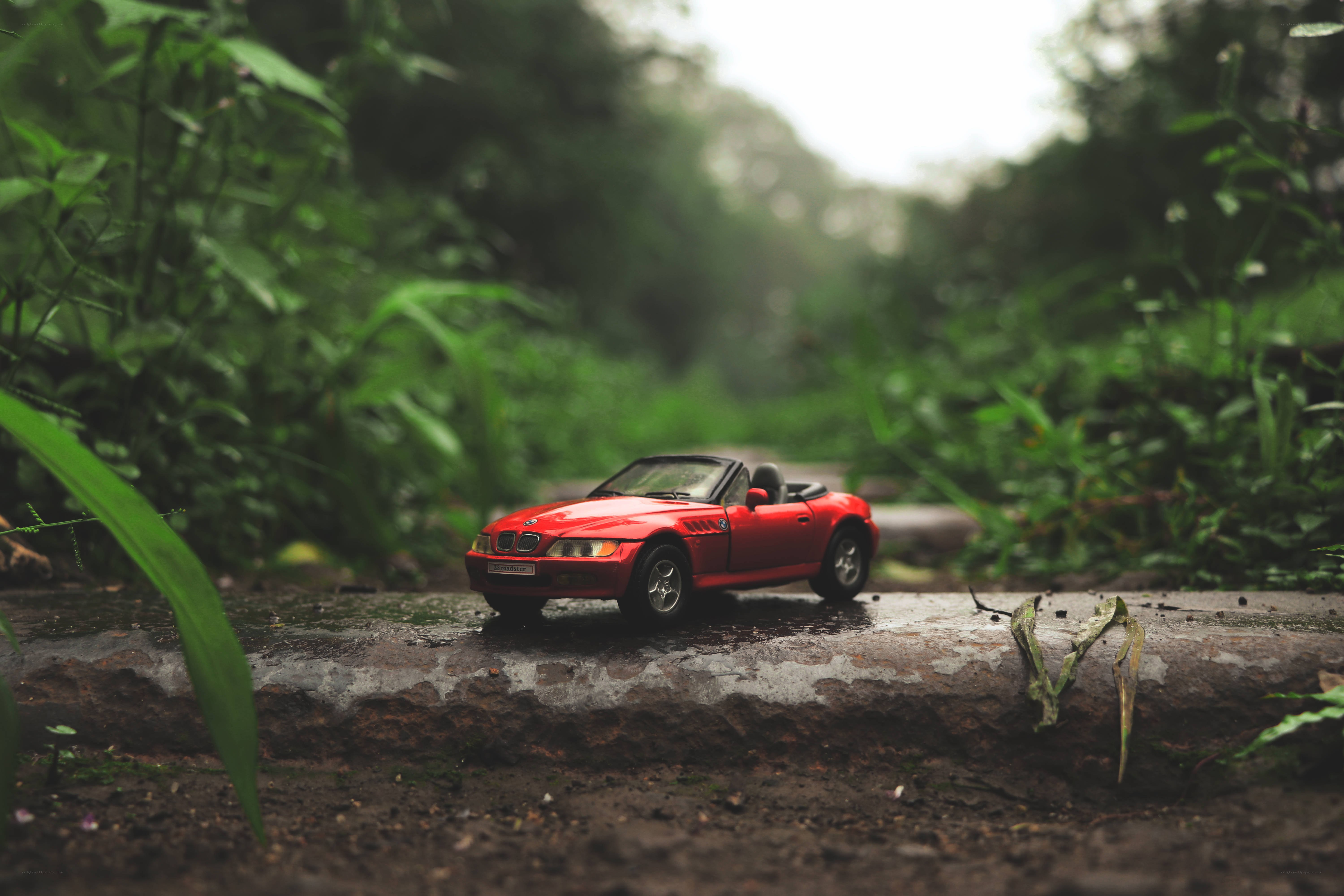Red toy car in forest