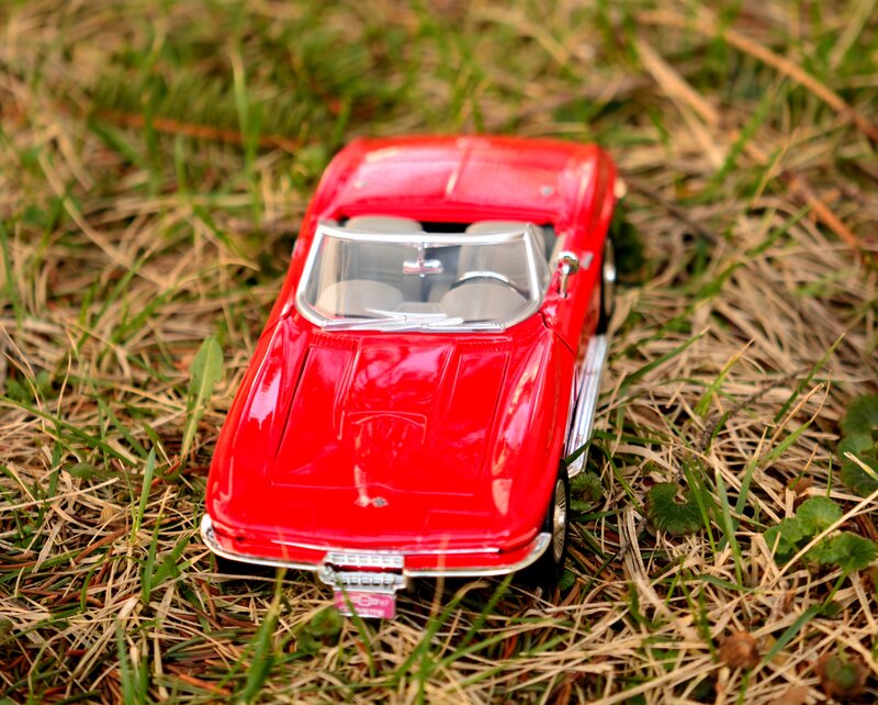 Red Toy Car in Grass — Calm