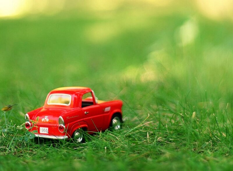 Red Toy Car in Grass