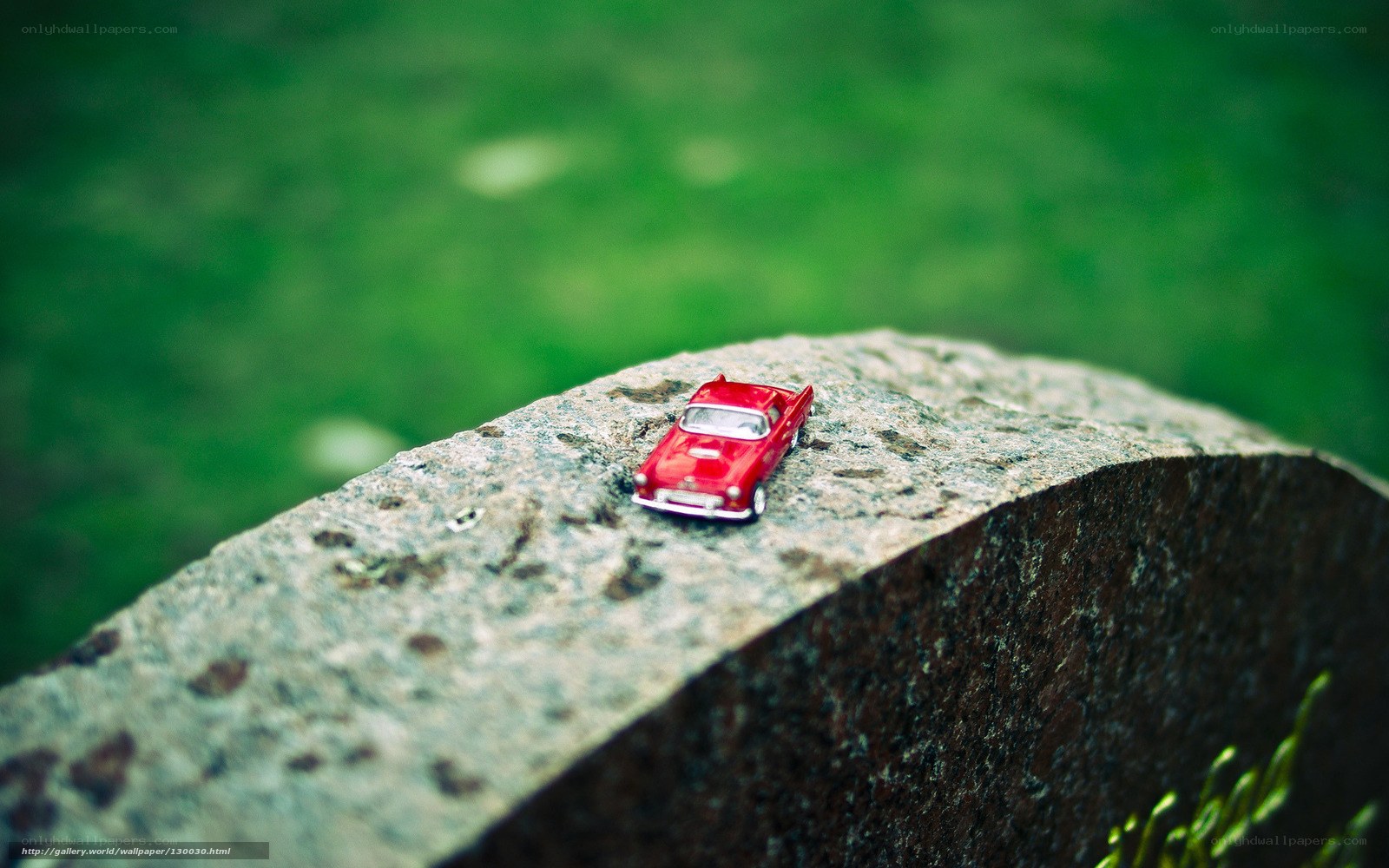 Red toy car on stone
