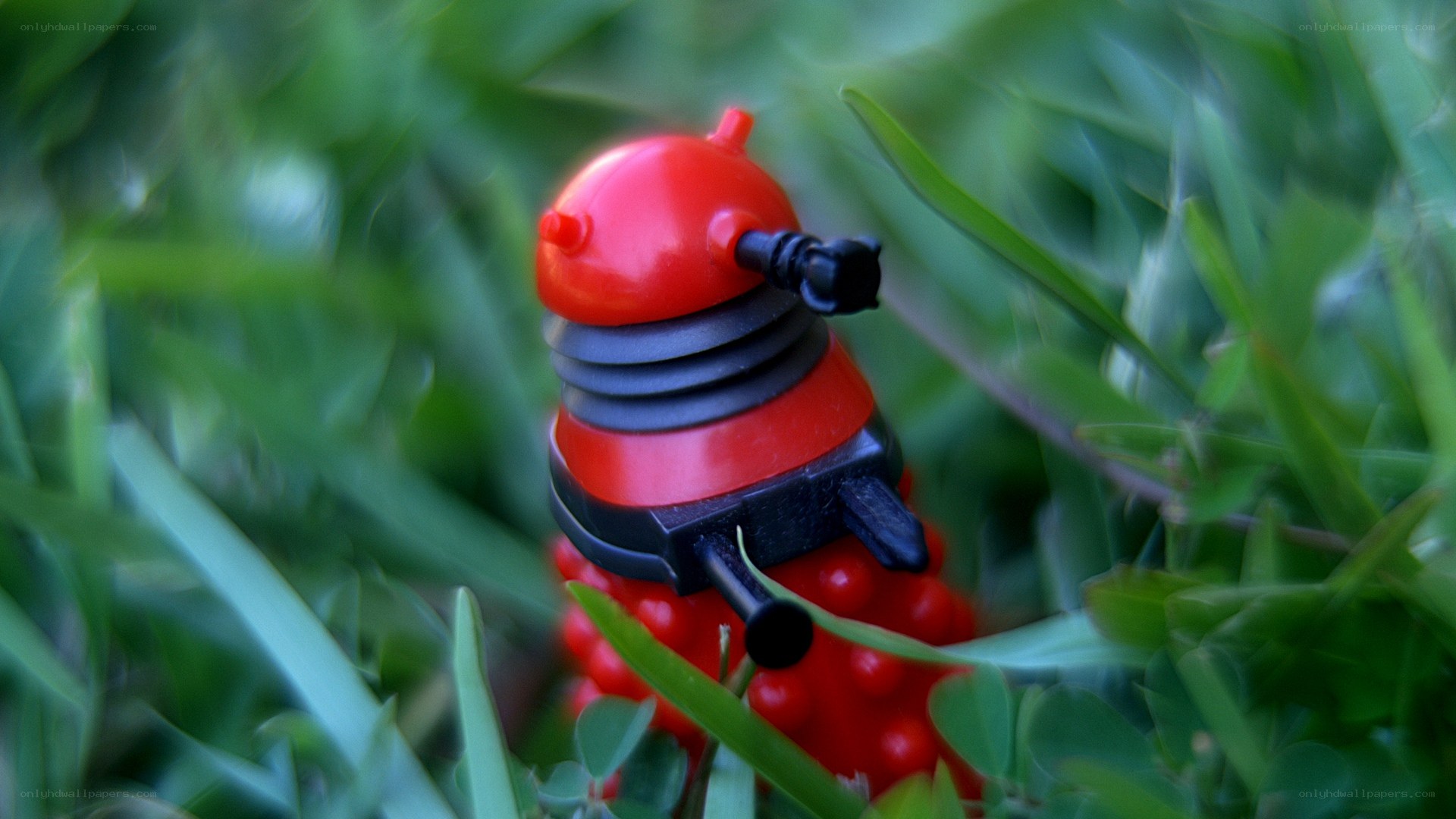 Red toy robot in grass