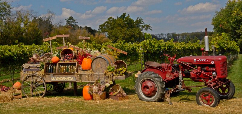 Red Tractor and Harvest Display