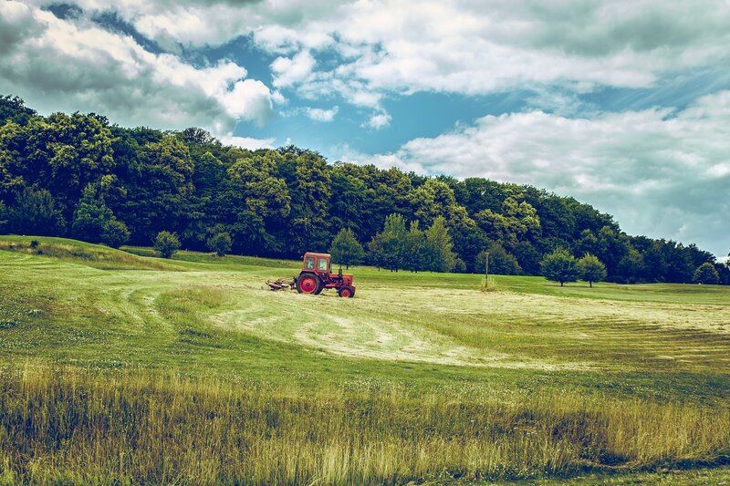 Red tractor in a green field