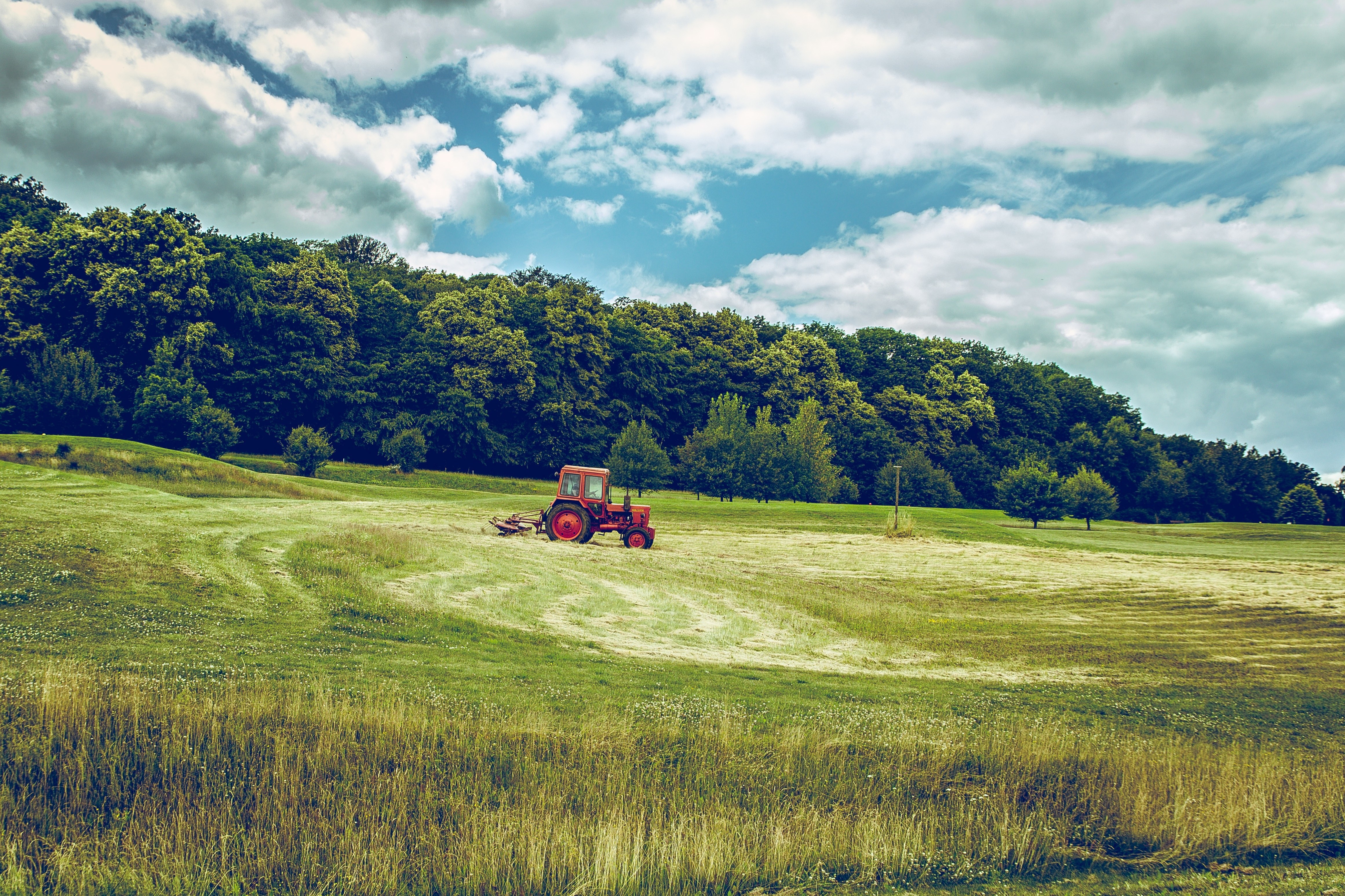 Red tractor in a green field