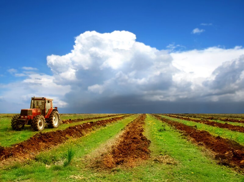 Red Tractor in Field — Blue