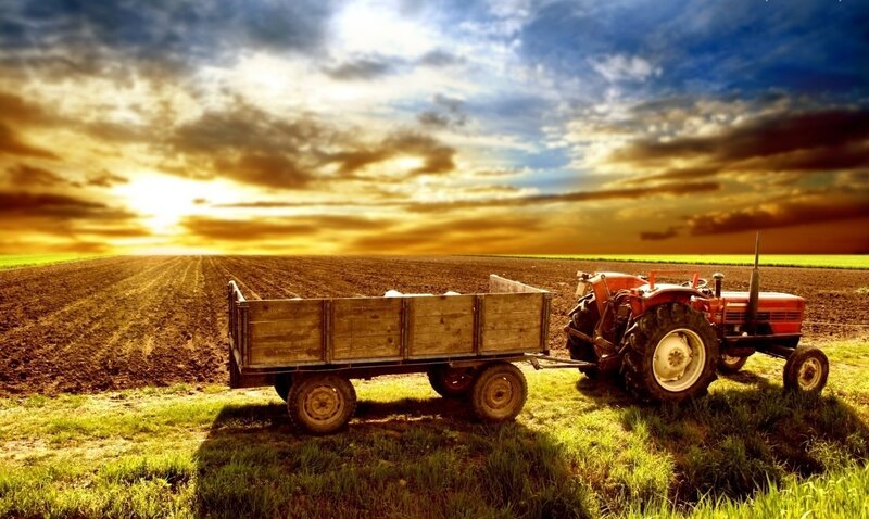 Red Tractor in Field