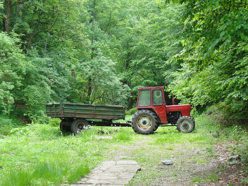 Red tractor in forest clearing