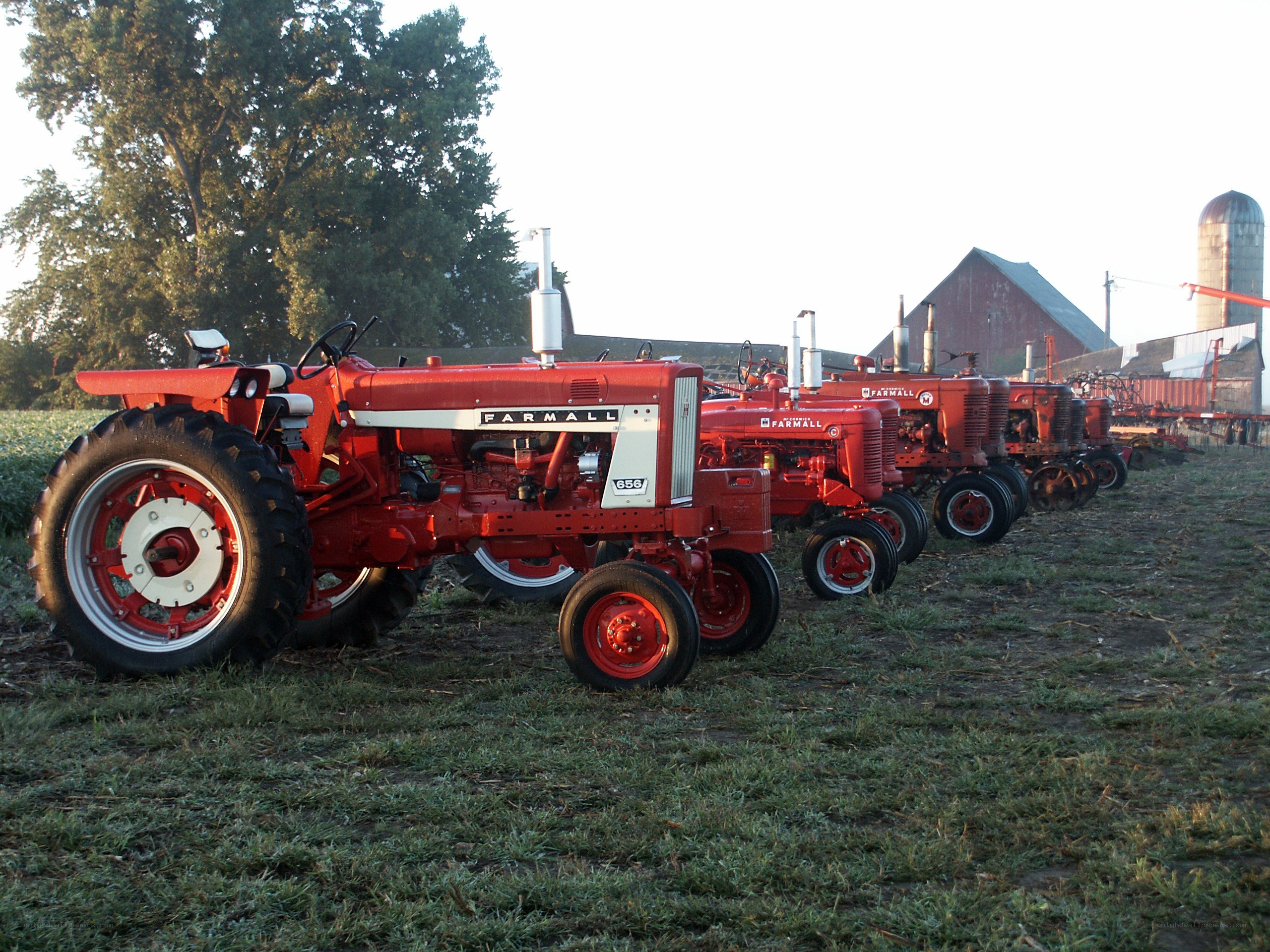 Red tractors in a field