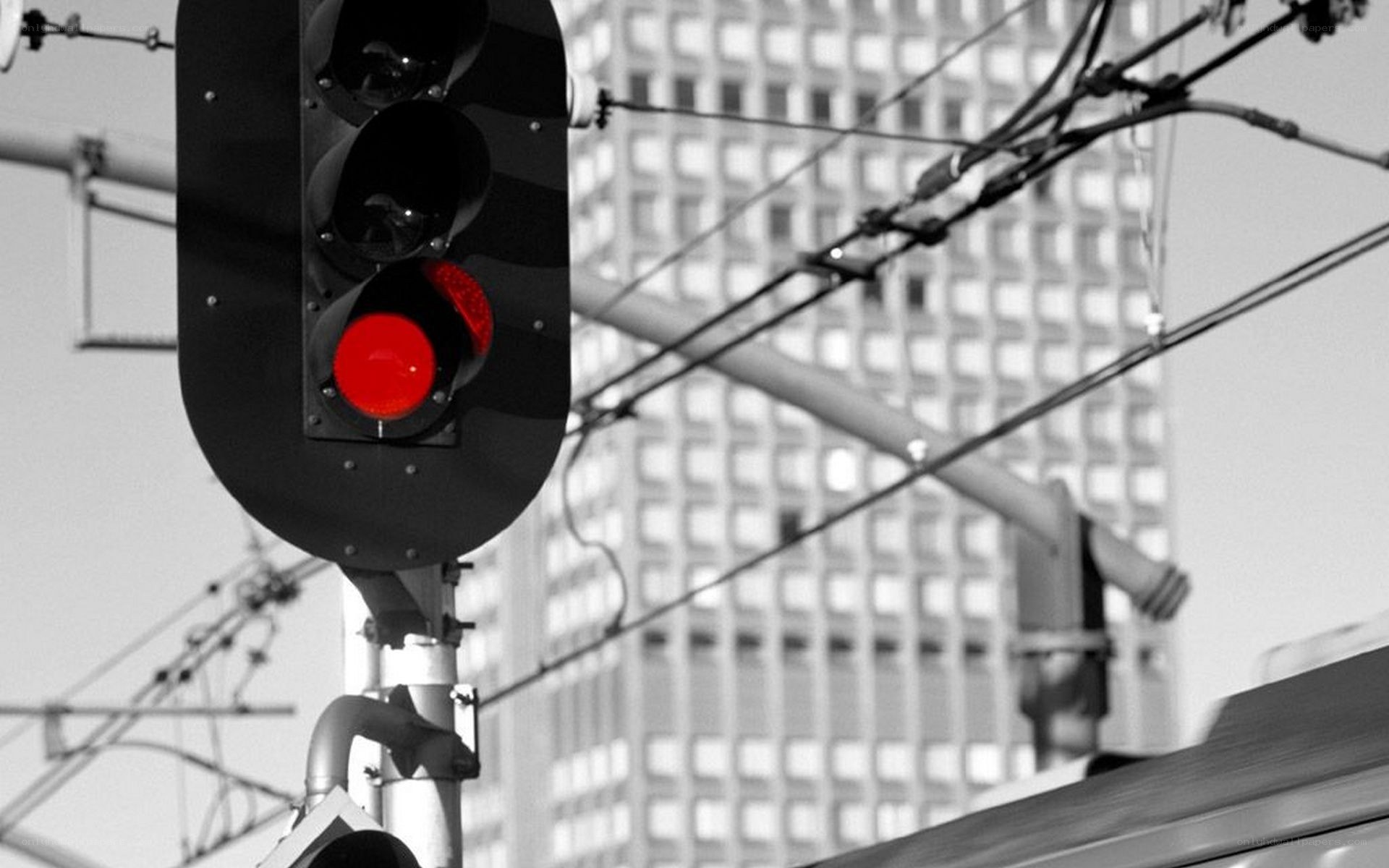 Red traffic light in city