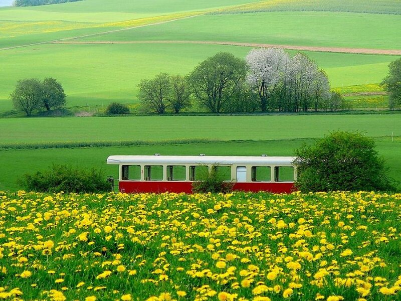 Red Train Car in Field