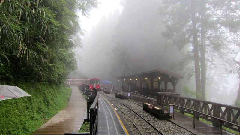 Red Train in Fog — Green
