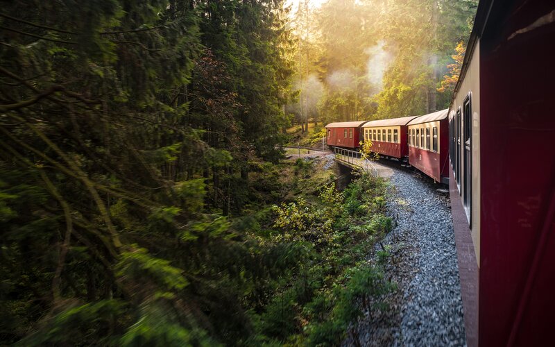 Red Train in Forest