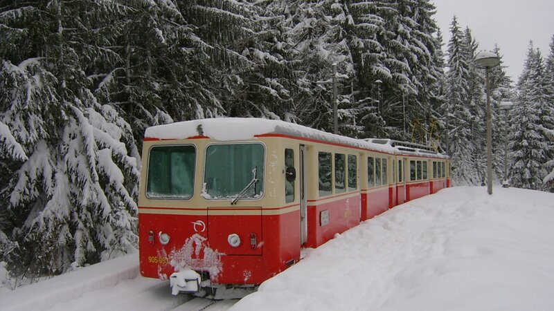 Red Train in Snow — Cold, Winter, Photograph, Trees