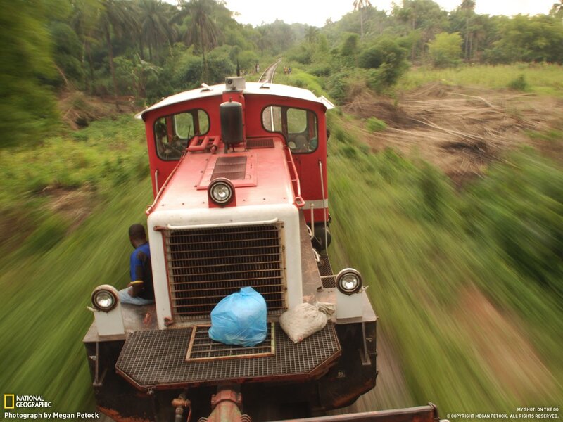 Red train moving through jungle