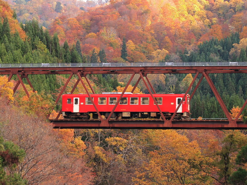 Red train on autumn bridge
