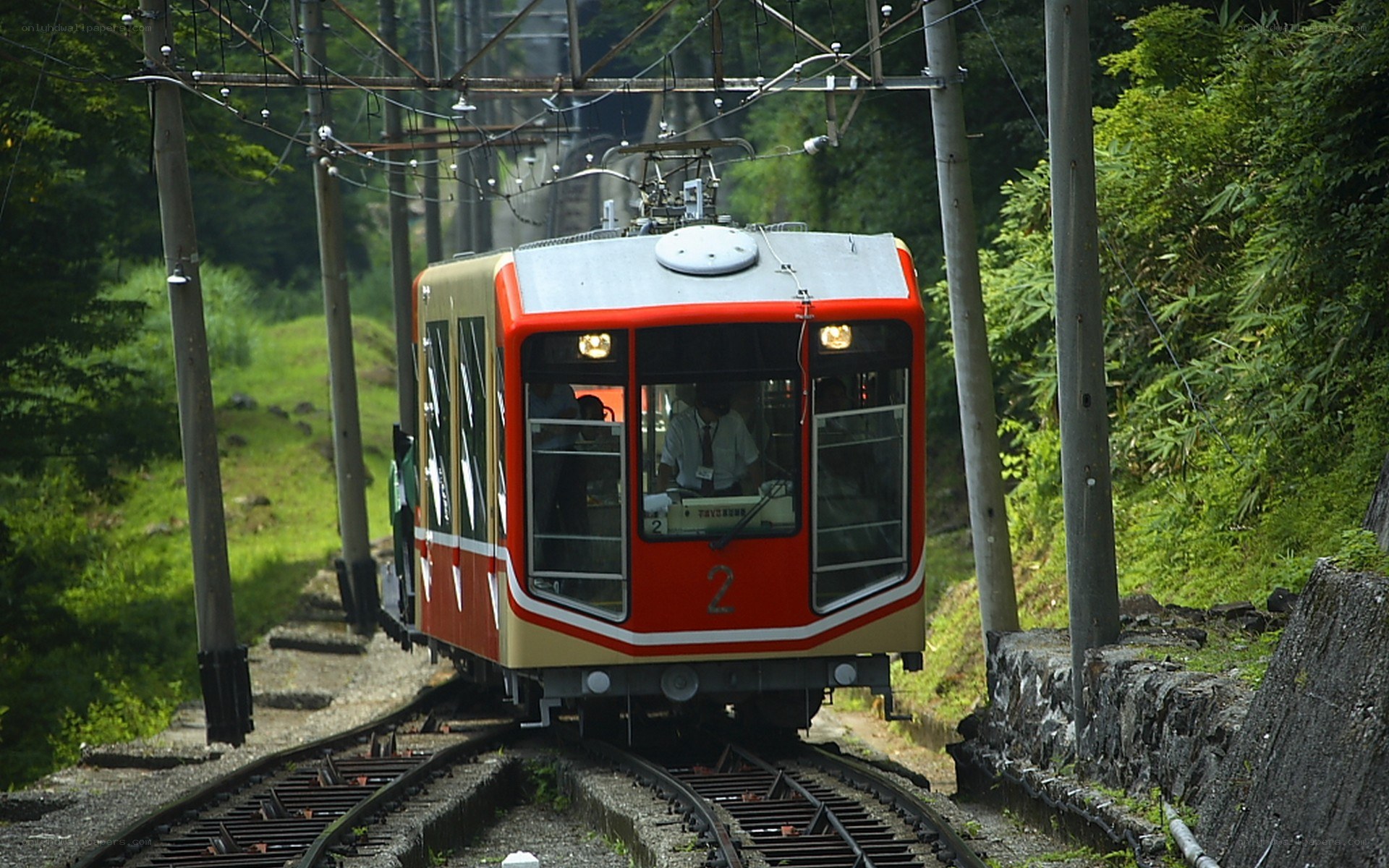 red train on forest track