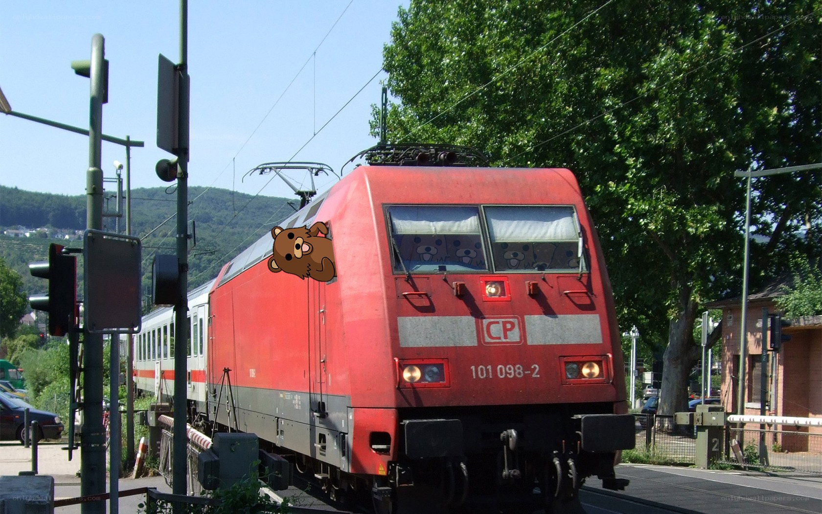 Red train with cartoon bear