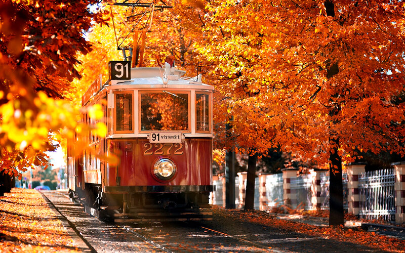 Red Tram in Autumn
