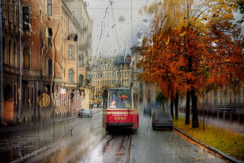 Red Tram in Rain — Dreary