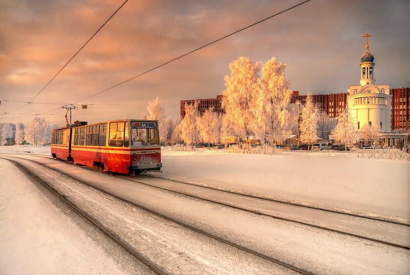 Red Tram in Snow — White