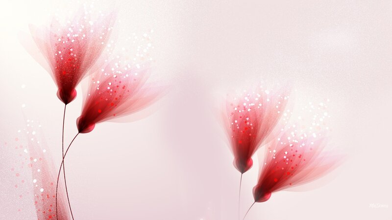 Red Translucent Flowers