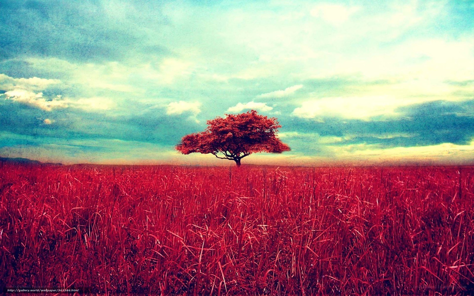 Red tree in a red field
