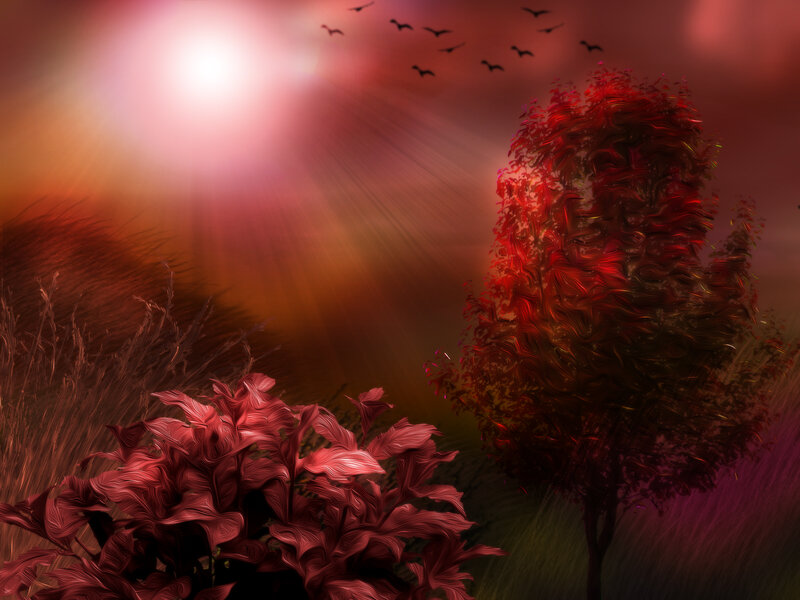 Red Tree in Field