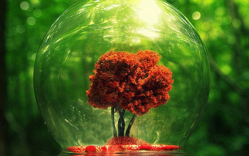 Red Tree in Glass Dome — Green
