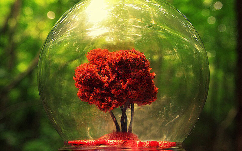 Red Tree in Glass Dome