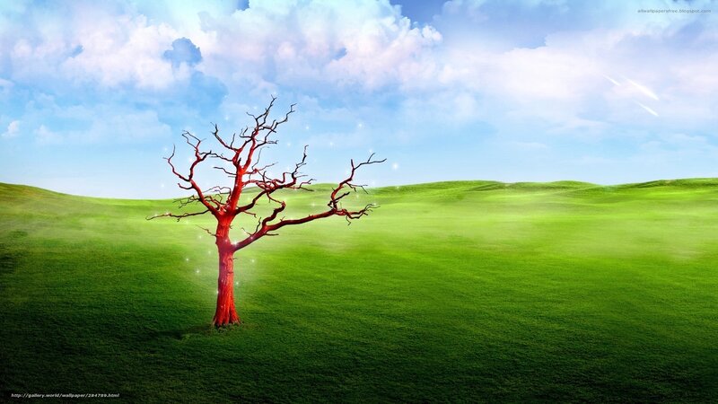 Red tree in green field
