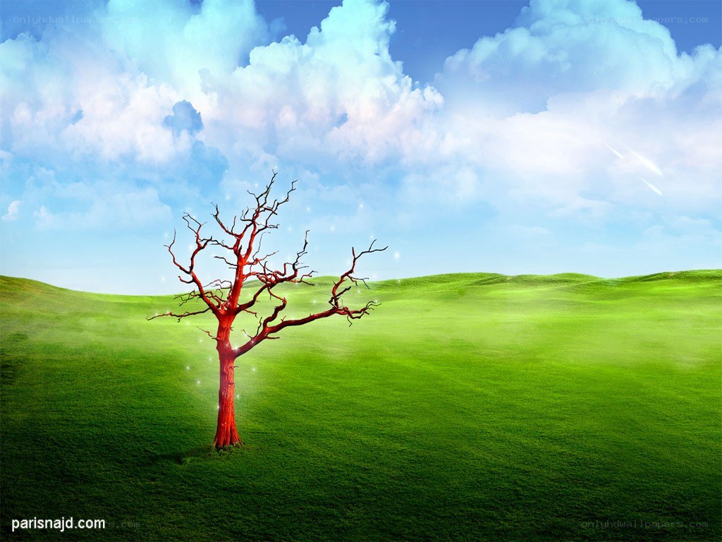 Red tree on green hill