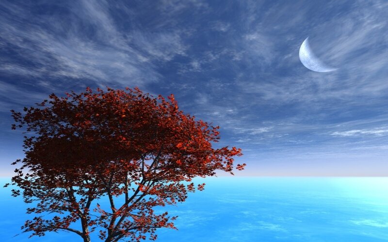 Red tree under crescent moon