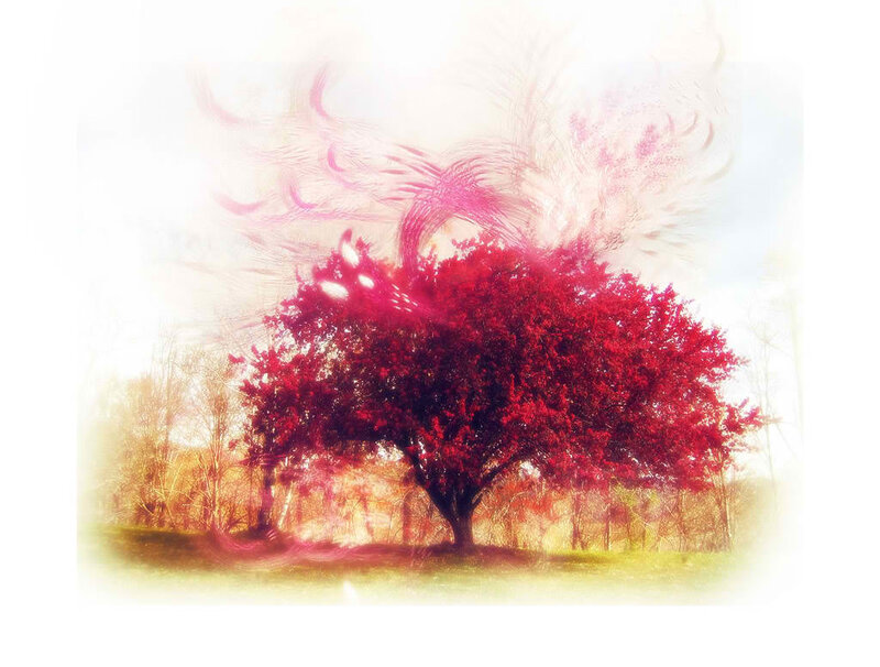Red Tree with Wings