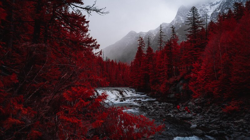 Red Trees and River