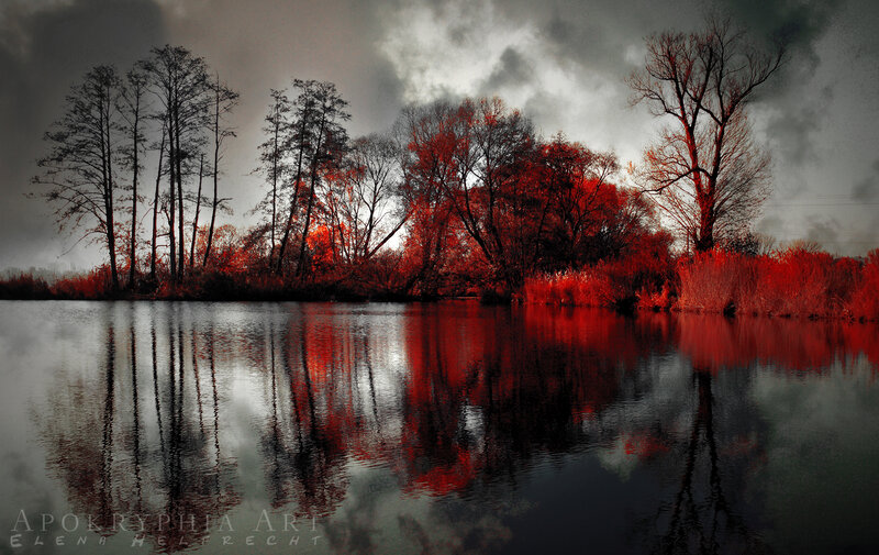 Red Trees by Lake