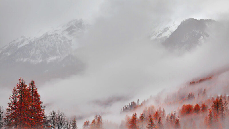 Red Trees in Foggy Mountains