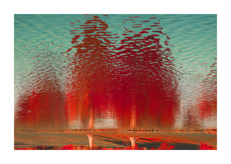 Red trees reflected in water