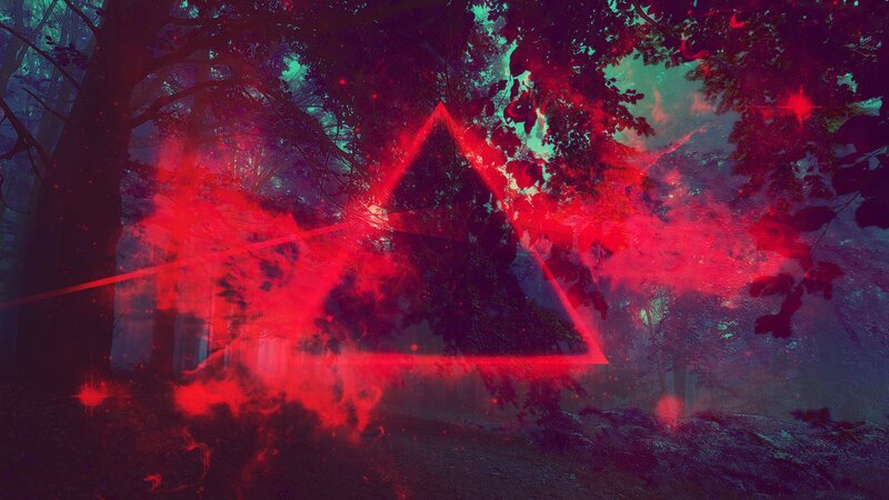 Red Triangle in Forest
