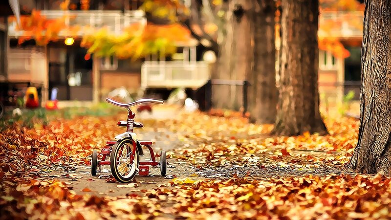 Red tricycle in autumn leaves