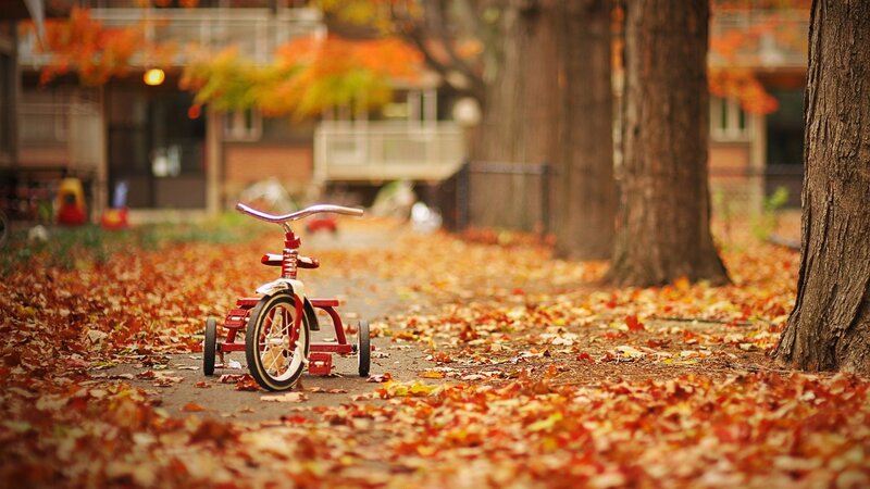 Red Tricycle on Leaves — Orange, Serene, Autumn