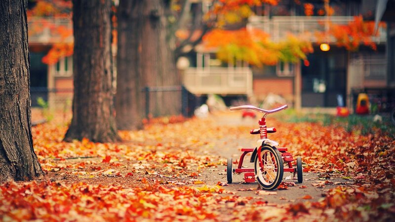 Red Tricycle on Path