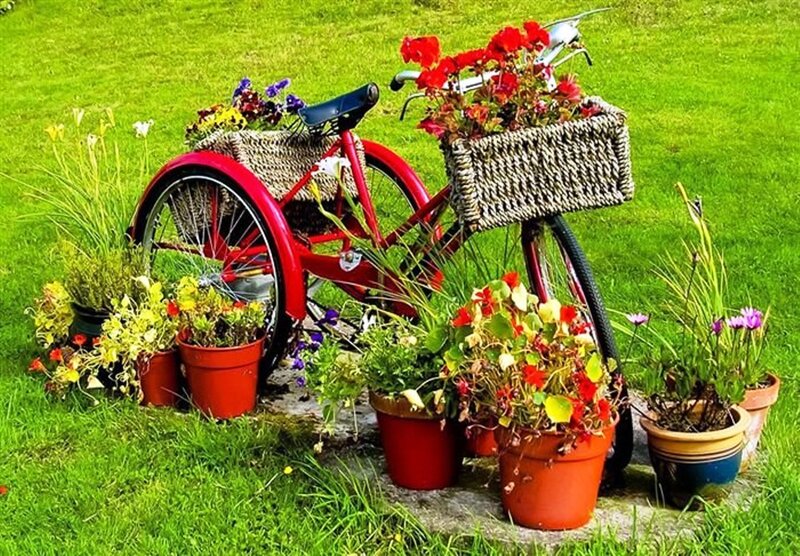 Red Tricycle with Flowers