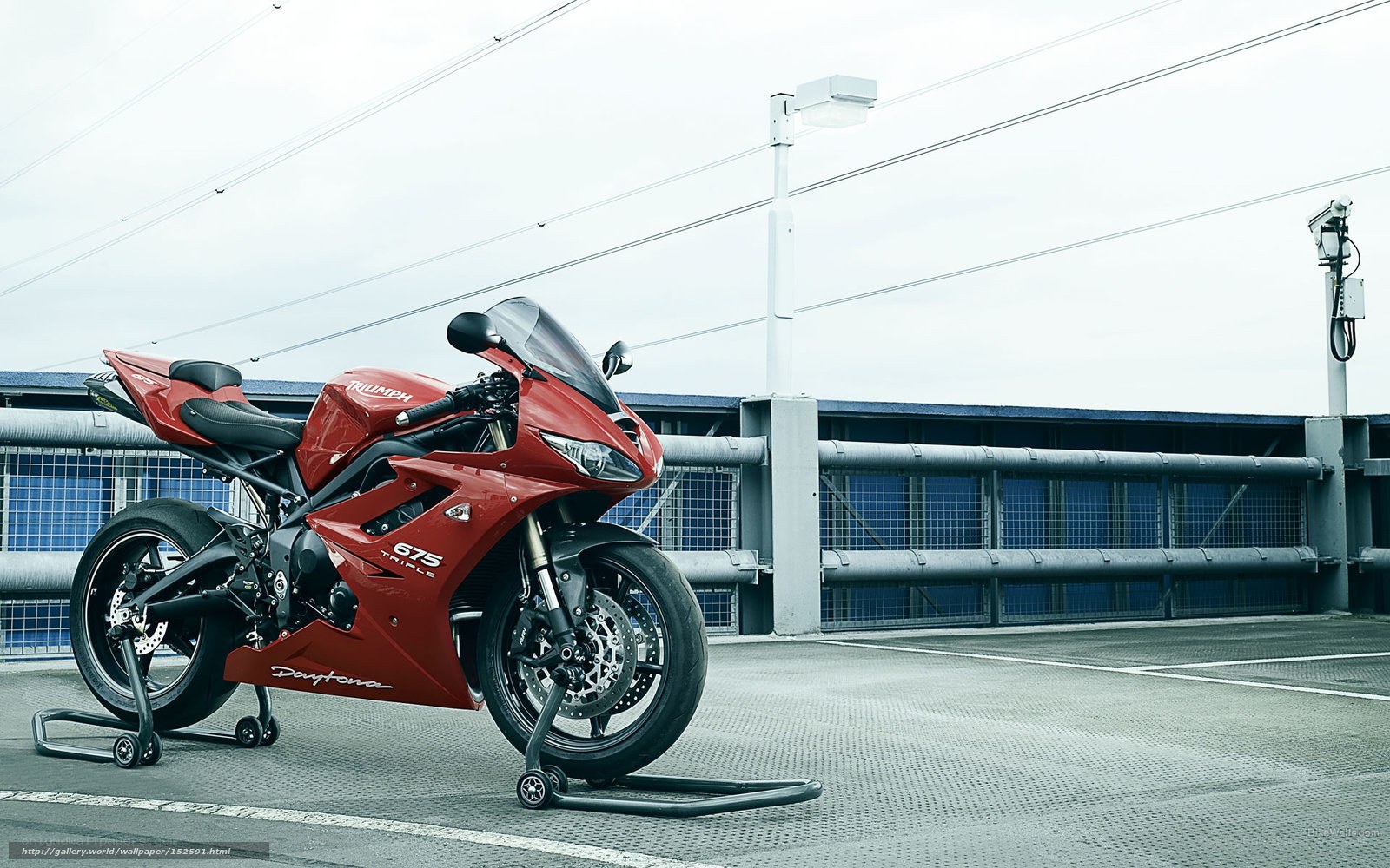 Red Triumph Daytona motorcycle